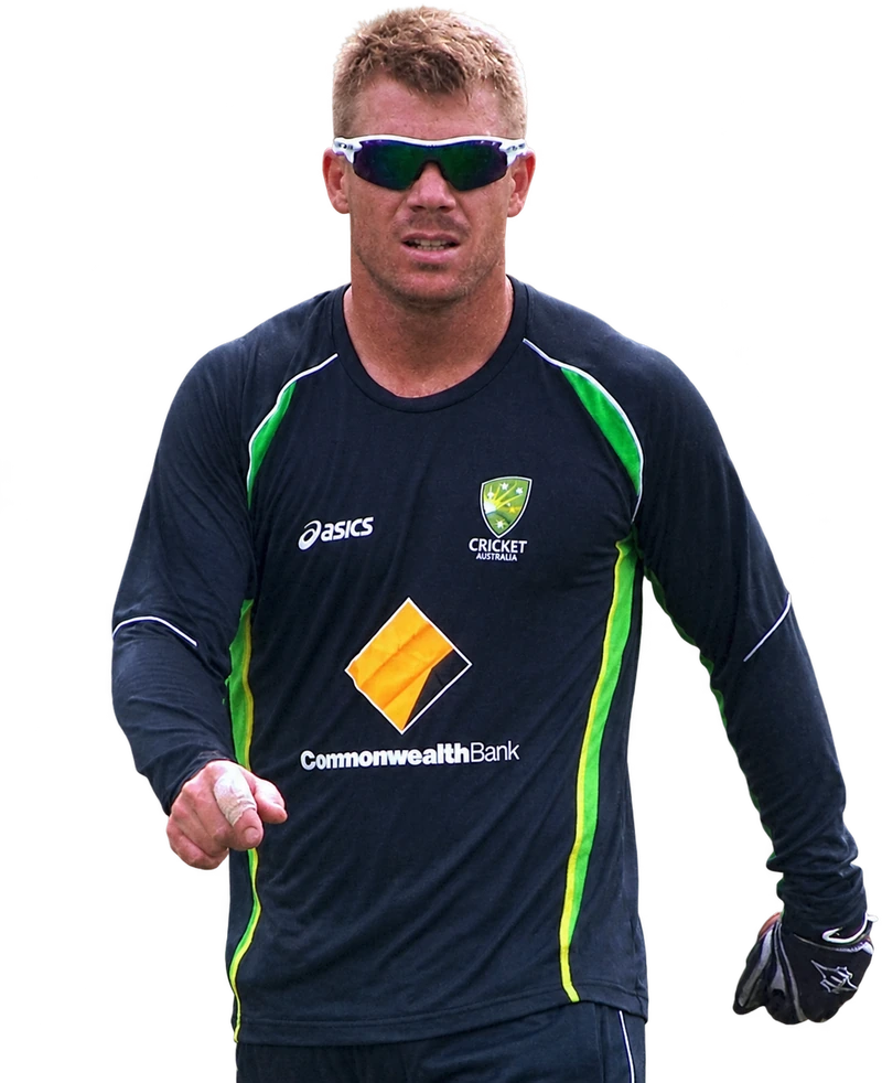 David Warner genuine portrait